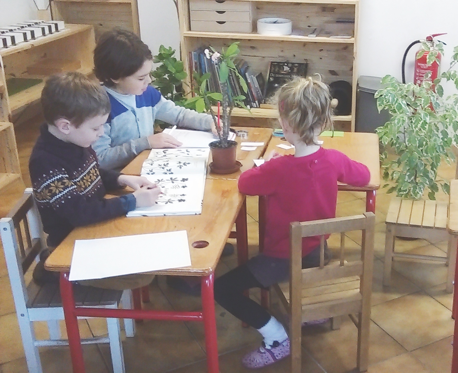 projet pédagogique école élémentaire