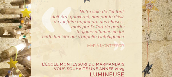 Année 2025 Lumineuse